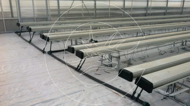 Bitki Taşıma Sistemi Yerden Destekli