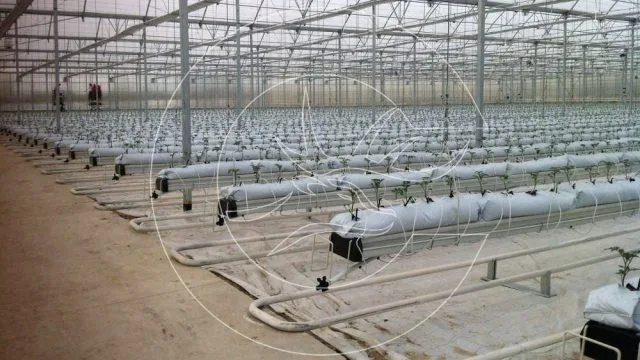 Bitki Taşıma Sistemi (Hanging Gutter)