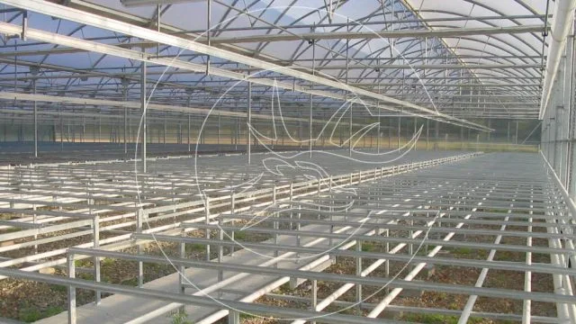 Sera Fidelik Masaları